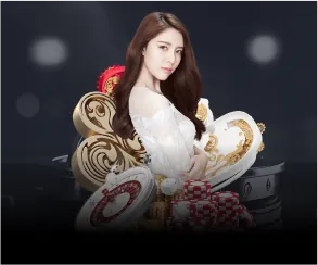 Biểu đồ các loại cookie được kim66 nhà cái sử dụng để quản lý dữ liệu người dùng